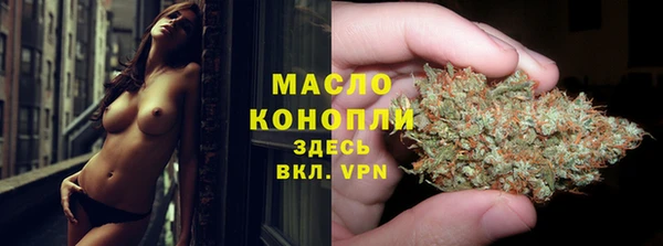 индика Волосово