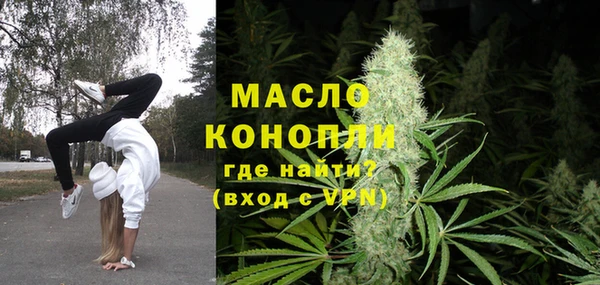 индика Волосово