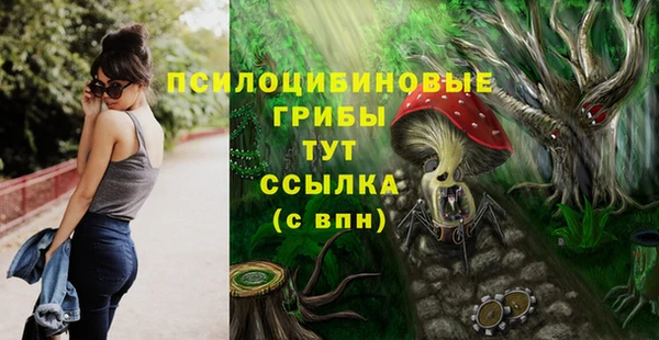 индика Волосово