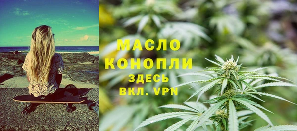индика Волосово