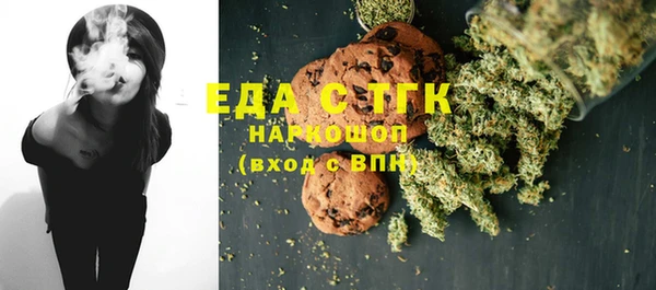 индика Волосово