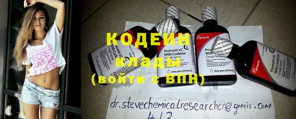 индика Волосово